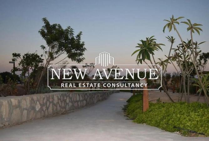 8351531 - الصورة الرئيسية للعقار