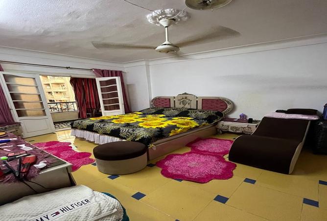 8217784 - Property Image 3