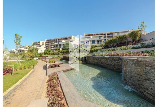 8332668 - Property Image 3