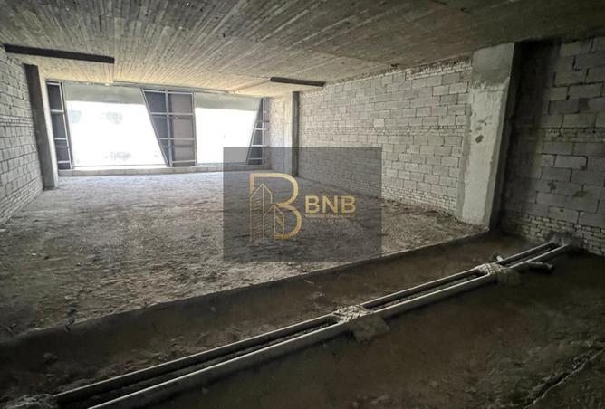 8011292 - Property Image 3