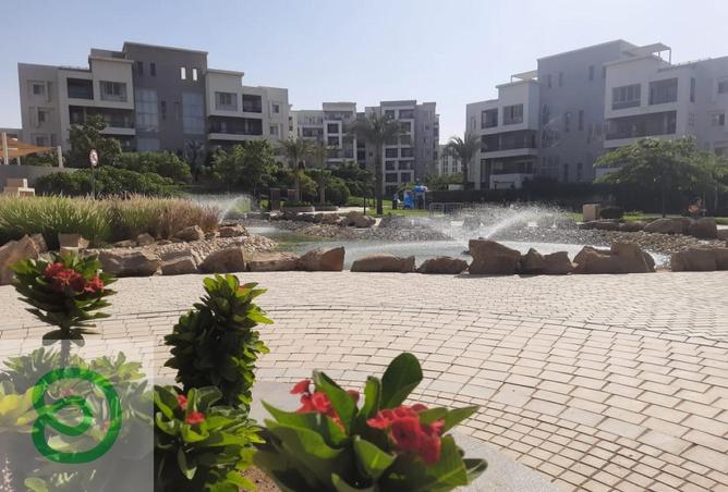 8178544 - صورة العقار 3