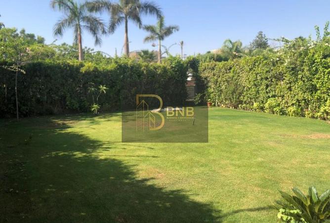 8006328 - Property Image 3