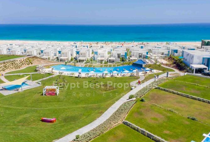 7977675 - Property Image 3
