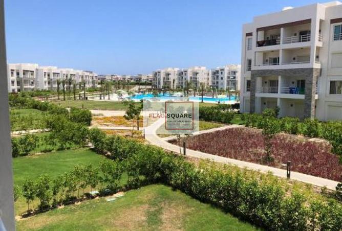 7921985 - صورة العقار 3