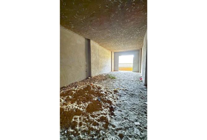 8093248 - صورة العقار 2