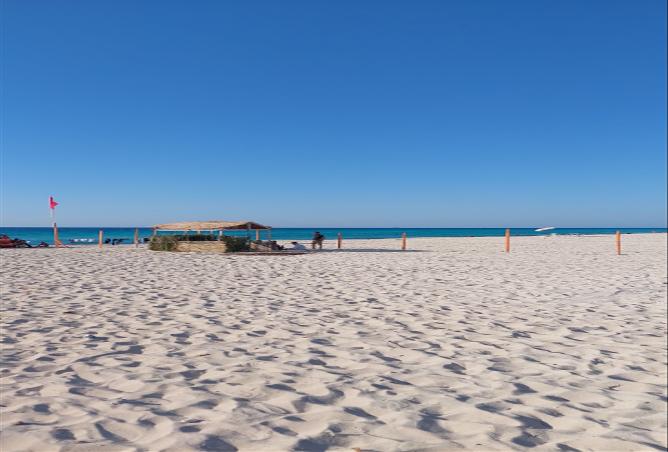 8486702 - Property Image 2