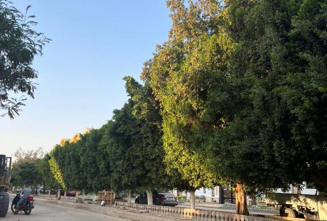 8258017 - صورة العقار 3