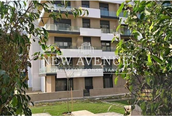 8077009 - Property Image 2