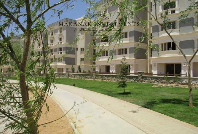 8435533 - Property Image 3