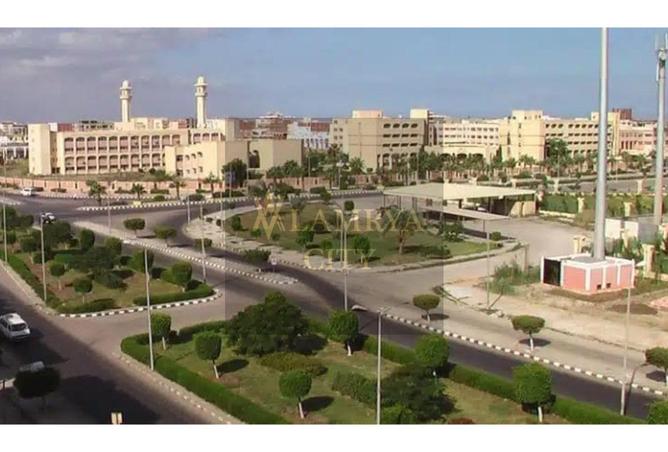 8169224 - صورة العقار 3