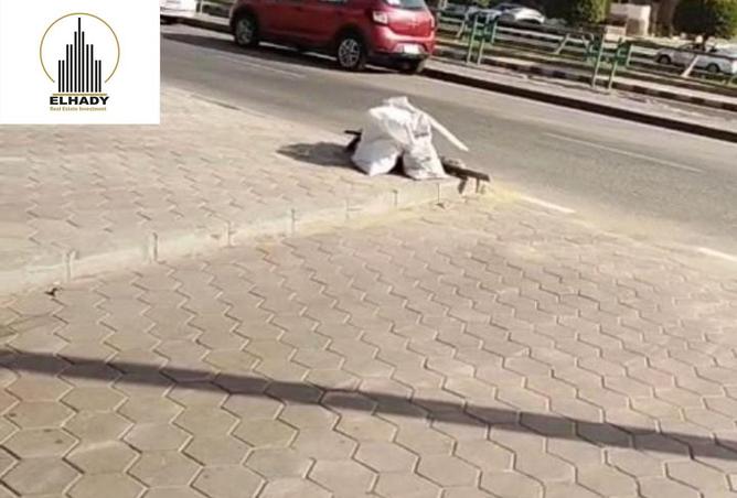 8313614 - Property Main Image