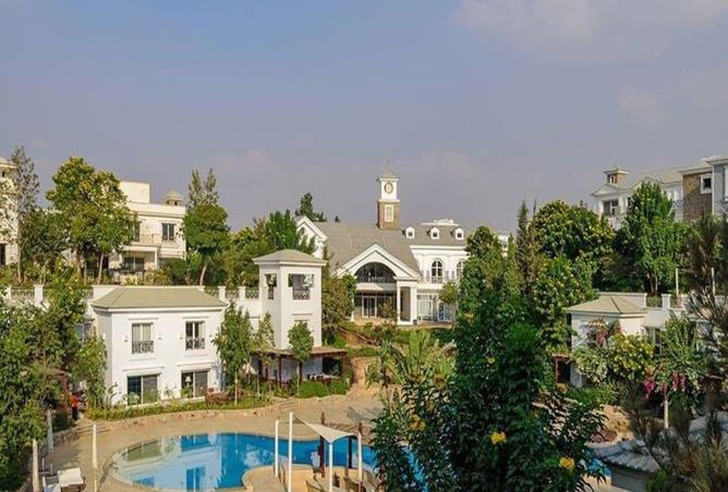 7963888 - صورة العقار 3