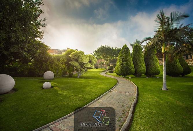 8077166 - صورة العقار 3