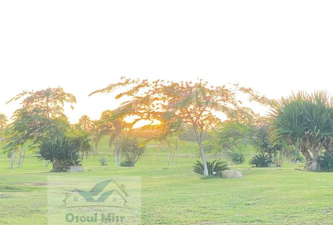 8332833 - Property Image 2