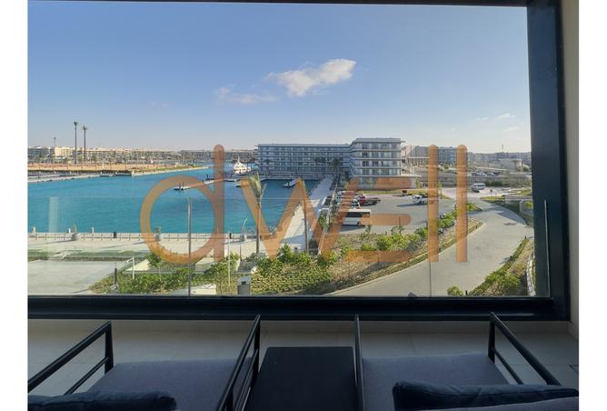 8403686 - صورة العقار 2