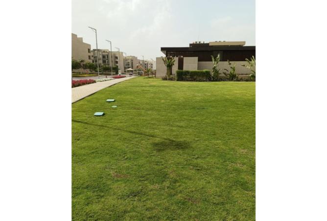 8164370 - Property Image 2
