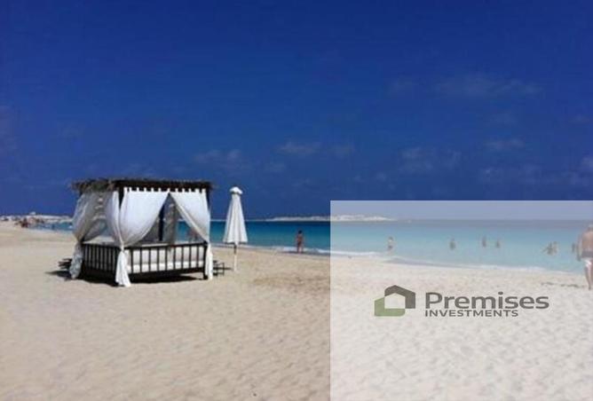 8177664 - صورة العقار 3