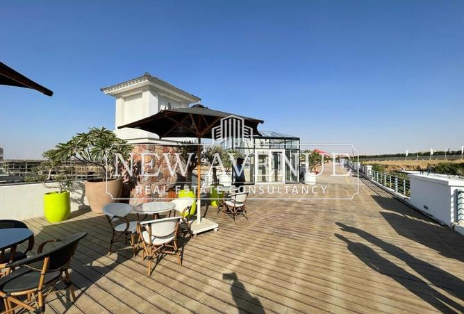 8096926 - Property Image 3