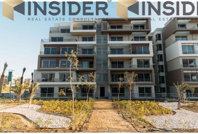 8113740 - Property Image 3