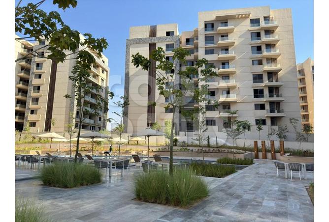 8352936 - Property Image 3