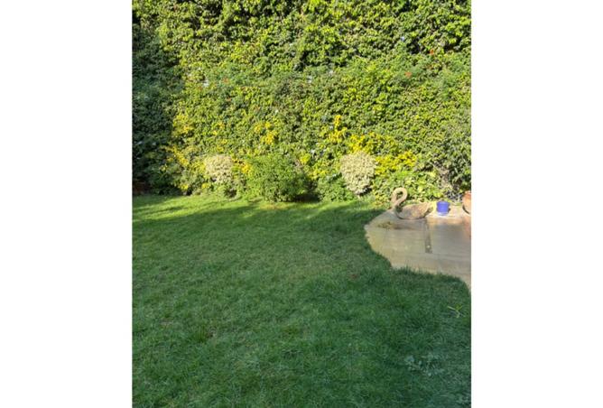 8439357 - Property Image 2