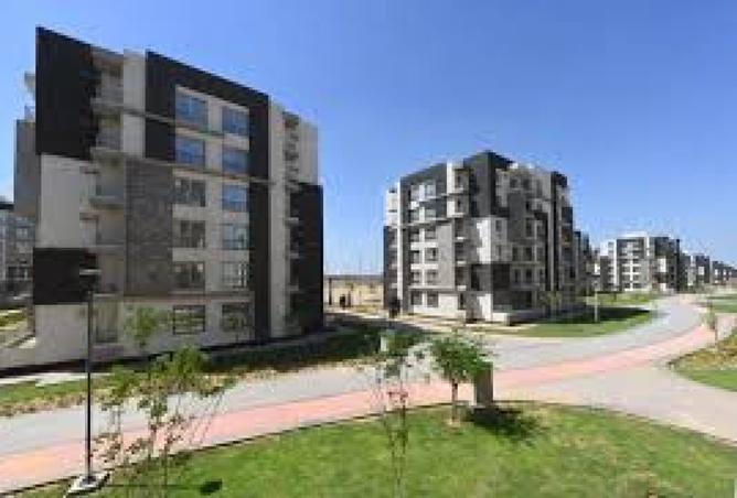 8067057 - Property Image 3