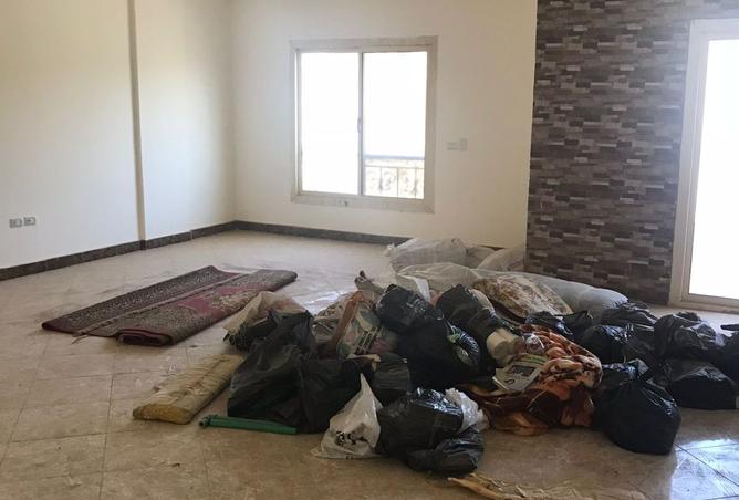 8243452 - Property Image 3