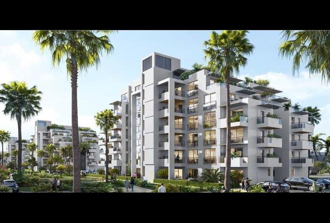 8460116 - صورة العقار 2