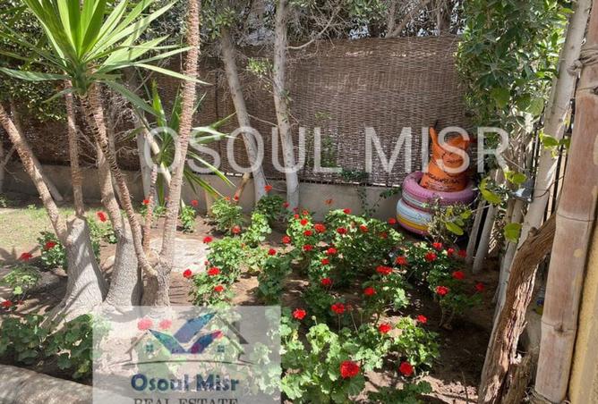 8206361 - صورة العقار 3