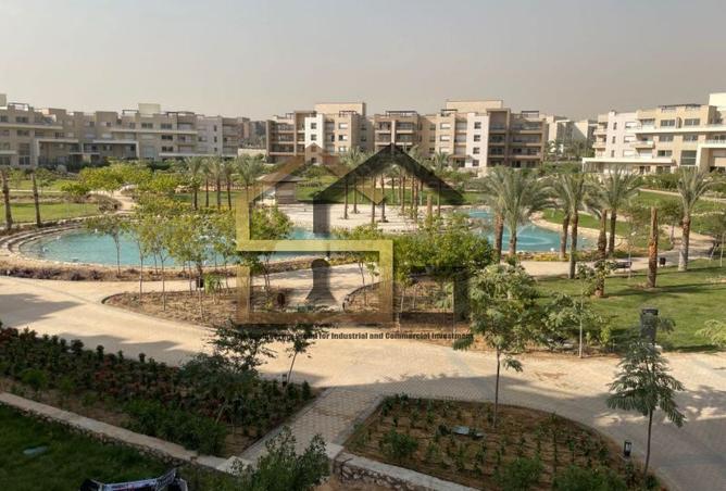 8129603 - Property Image 2