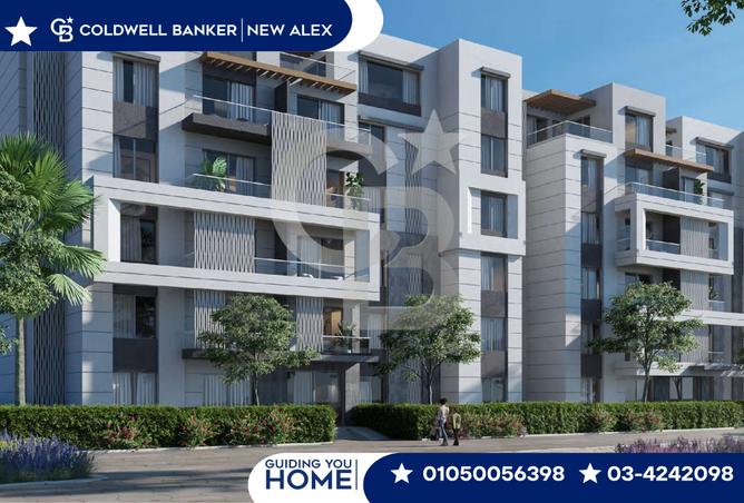 7987291 - Property Image 3