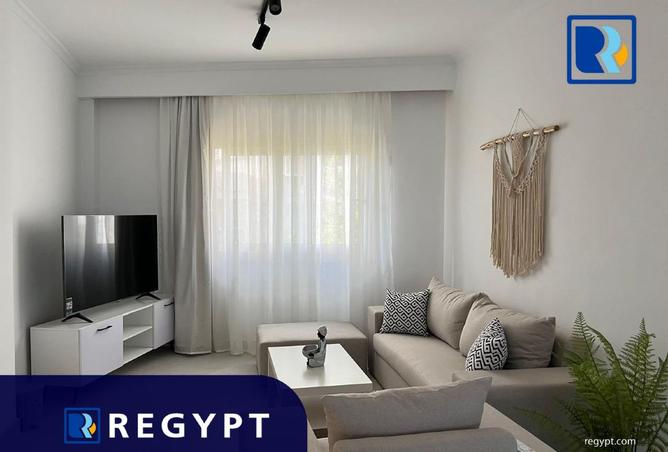 8472447 - Property Image 3