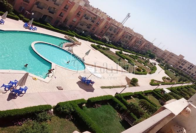 7906790 - صورة العقار 3