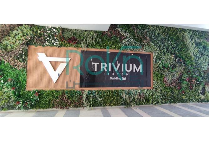 8245291 - صورة العقار 3