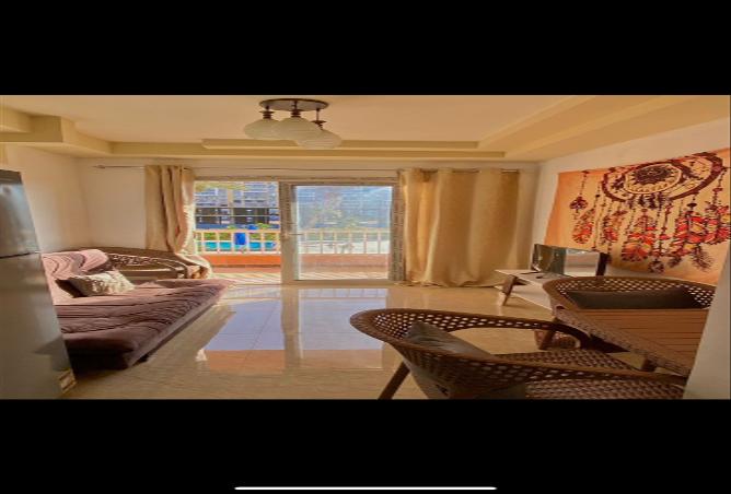 7991352 - Property Image 3