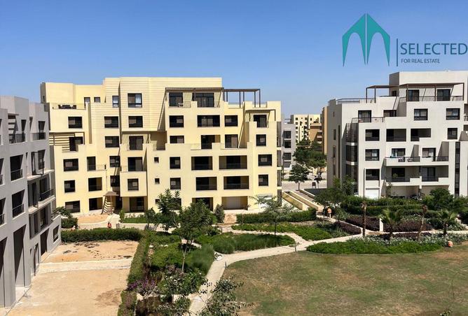 8381495 - صورة العقار 2