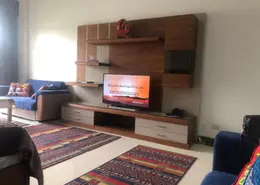 Apartment - 1 Bedroom - 1 Bathroom for rent in American University Housing District - 5th Settlement Compounds - The 5th Settlement - New Cairo City - Cairo