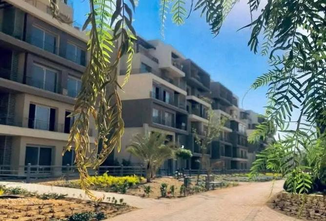 8151480 - Property Image 3