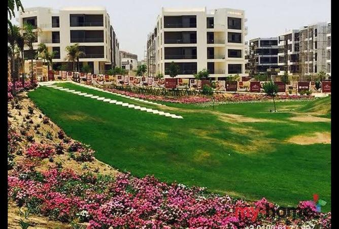 8243295 - Property Image 2