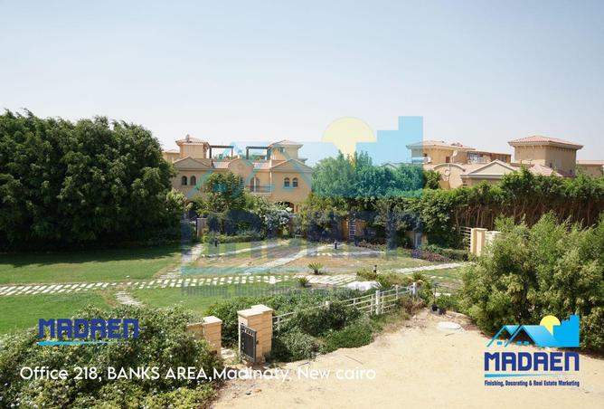 8275861 - Property Image 3