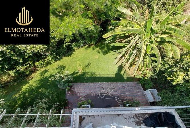 7941875 - Property Image 2