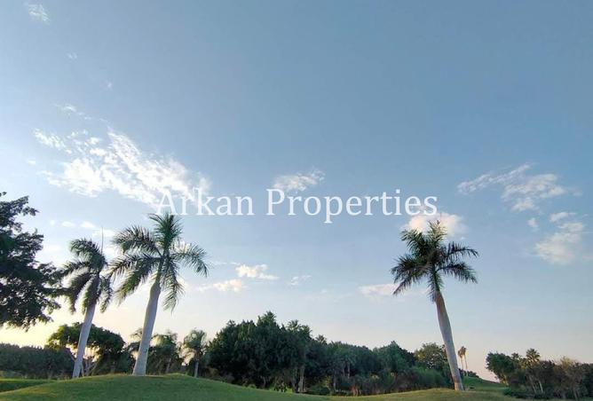 8167297 - صورة العقار 2