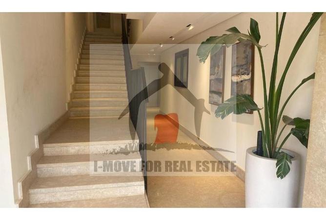 7981293 - Property Image 2