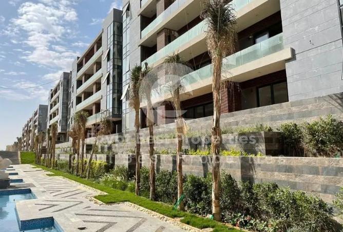 8234519 - صورة العقار 2