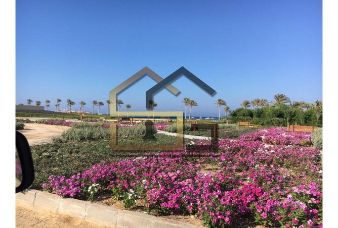 8322467 - صورة العقار 3