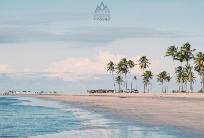 8497004 - صورة العقار 3