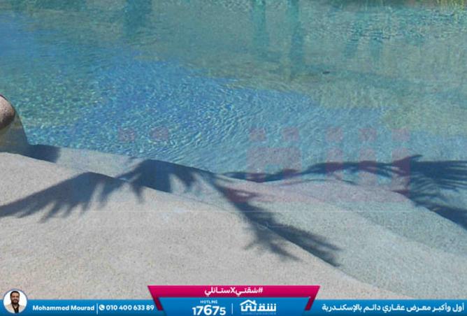 8439229 - Property Image 2