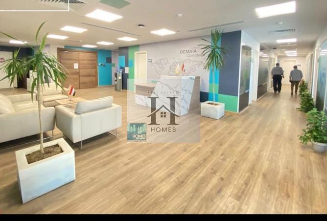 8192507 - صورة العقار 3