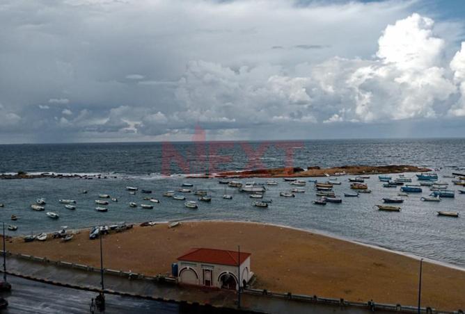 8259072 - الصورة الرئيسية للعقار