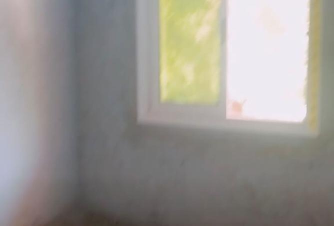 8307734 - Property Image 3